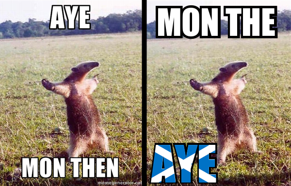An anteater that is standing on its two hind legs, with its two front legs up like it is Jesus Christ. Its entire demeanor is “Come at me bro!” But this anteater has a Scottish-Flair ... it's not a chad. It's not a bro. So it‘s almost as if it is saying the immortal phrase, ”Aye, Mon Then!” Which it is. Though it cannot speak, since it is an anteater. It is saying it with its entire body and posture. Aye, Mon Then.